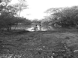 和平,水,性質(zhì)
