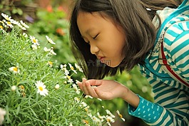 氣味,花,女孩
