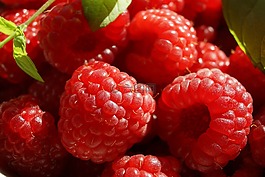 水果,覆盆子,健康