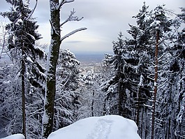 德國(guó),景觀,景區(qū)