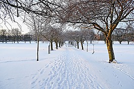 冬天,季节,雪