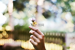 花,吸煙,吸煙花