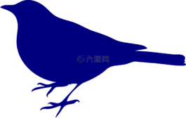 鳥,藍(lán)色,側(cè)影