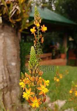 照片,相機(jī),移動(dòng)電話