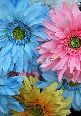 鮮花,顏色,塑料