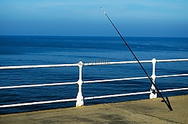 釣魚,海,魚