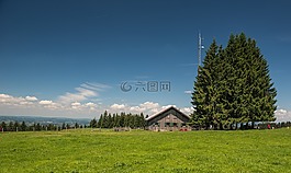 阿爾姆,高山草甸,服務(wù)承諾