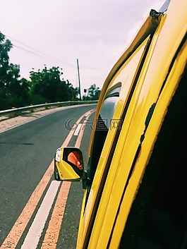 景觀,路,公路