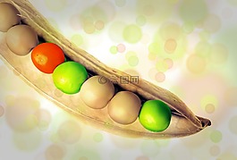 豌豆,豌豆莢,蔬菜