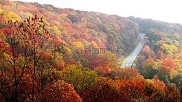 山,秋天,秋