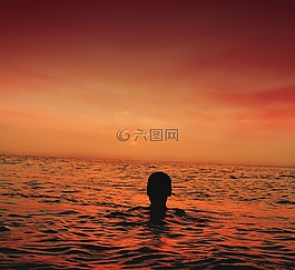 海,海洋,水