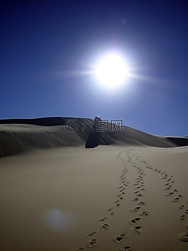 太陽,背光,沙