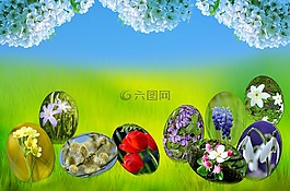 復(fù)活節(jié),雞蛋,春天