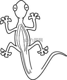 蜥蜴,壁虎,爬行動(dòng)物