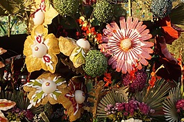 花,花園,性質(zhì)