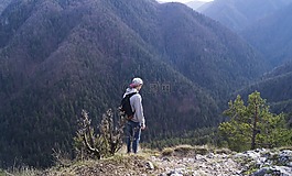 家伙,男子,男