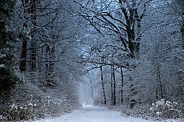 馬蹄,冬季,雪