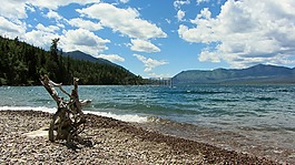 海灘,冰湖,浮木