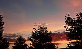 日出,秋天,景觀