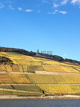萊茵,銀行,bingen