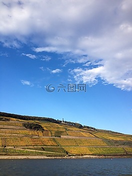 葡萄種植,weinterassen,bingen