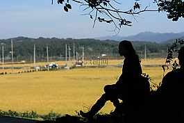 打破,獎(jiǎng)致敬,陰影