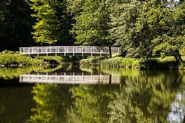 橋,公園,樹木