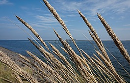 性质,夏季,天空