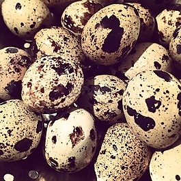 雞蛋,食品,復(fù)活節(jié)