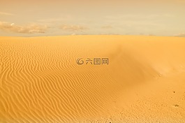 沙漠,沙丘,砂