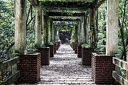风景,光影,自然