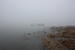 冬天,水,霧
