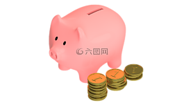 豬,動物,吻