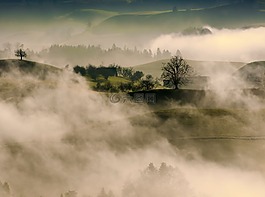 山,高原,樹