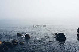 海,海洋,水