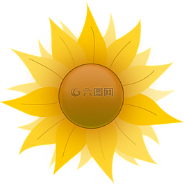 花,黃色,對(duì)稱性