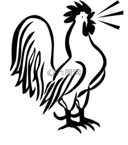 公雞,烏鴉,上午