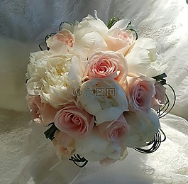 花束,玫瑰,花