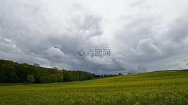 字段,農(nóng)業(yè),油菜