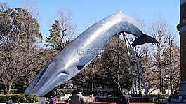 鯨魚,博物館,雕塑