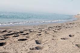 海滩,沙,桑迪