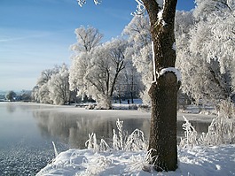 冬天,雪,池塘
