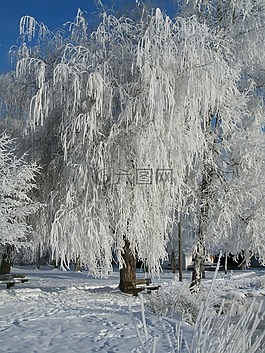 冬天,雪,池塘