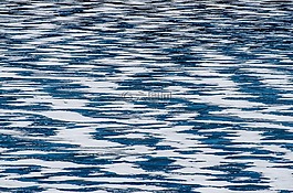 紋理,背景,凍的湖