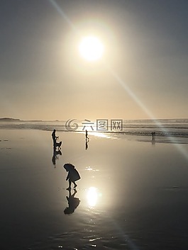 海灘,日落,海洋