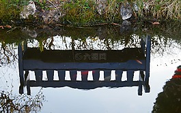 鏡像,水中倒影,花園池塘