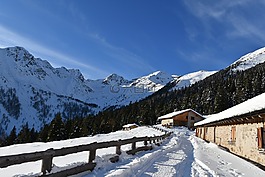 雪,山,冬天