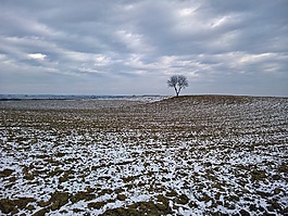 自然,冬天,原野