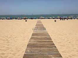 海滩,路径,海岸