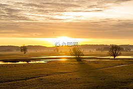 太阳,日出,景观